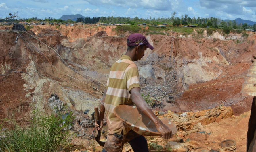 Cambio climático, la fiebre del oro y los jóvenes de Venezuela