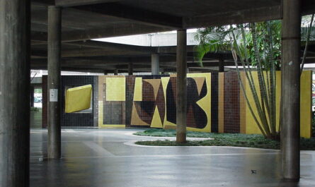 universidad central de venezuela